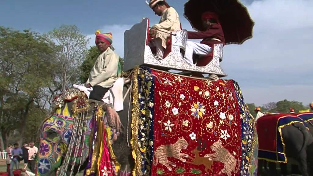 ELEPHANT FESTIVAL   INDIA 2011