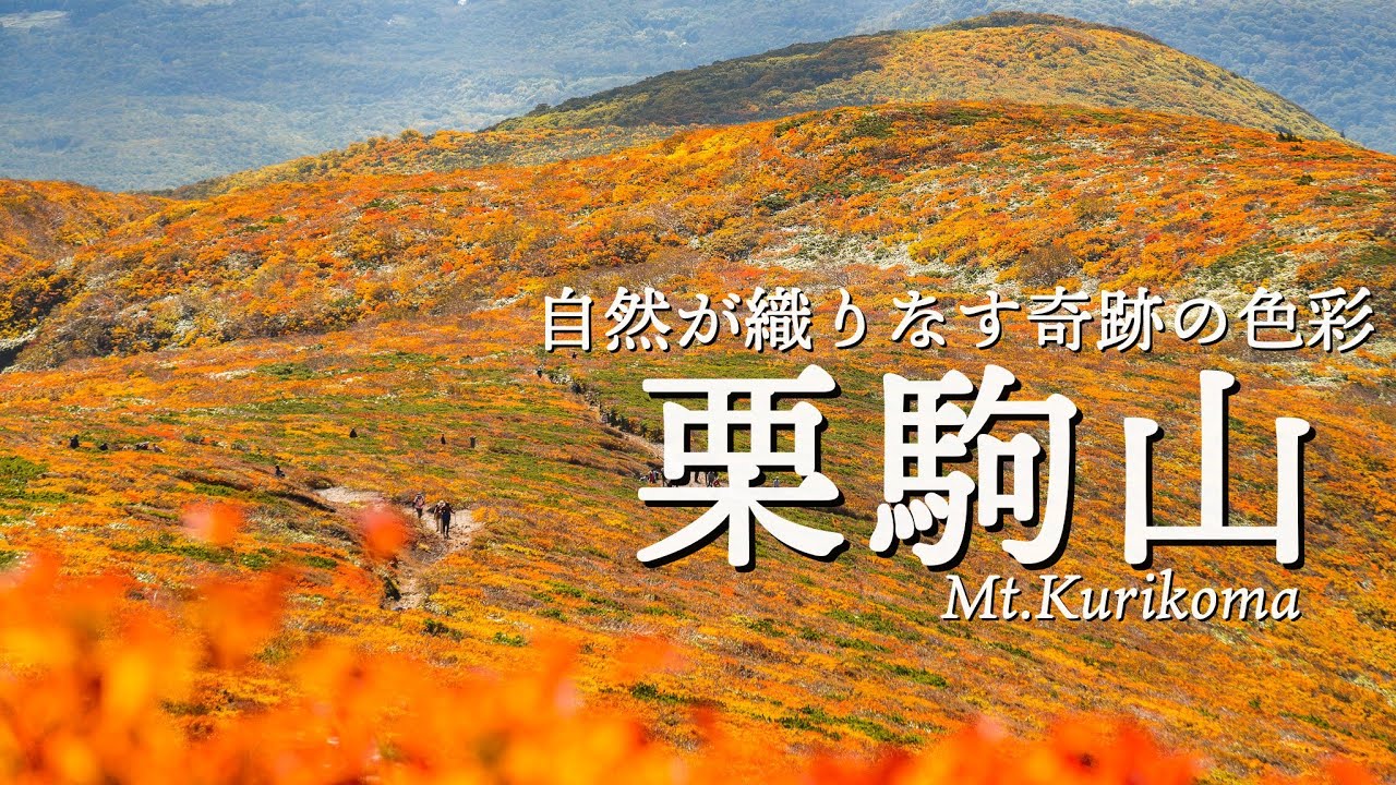 【紅葉の栗駒山】神の絨毯だけではもったいない。須川登山口 - 秣岳周回(天馬尾根)コース｜東北遠征