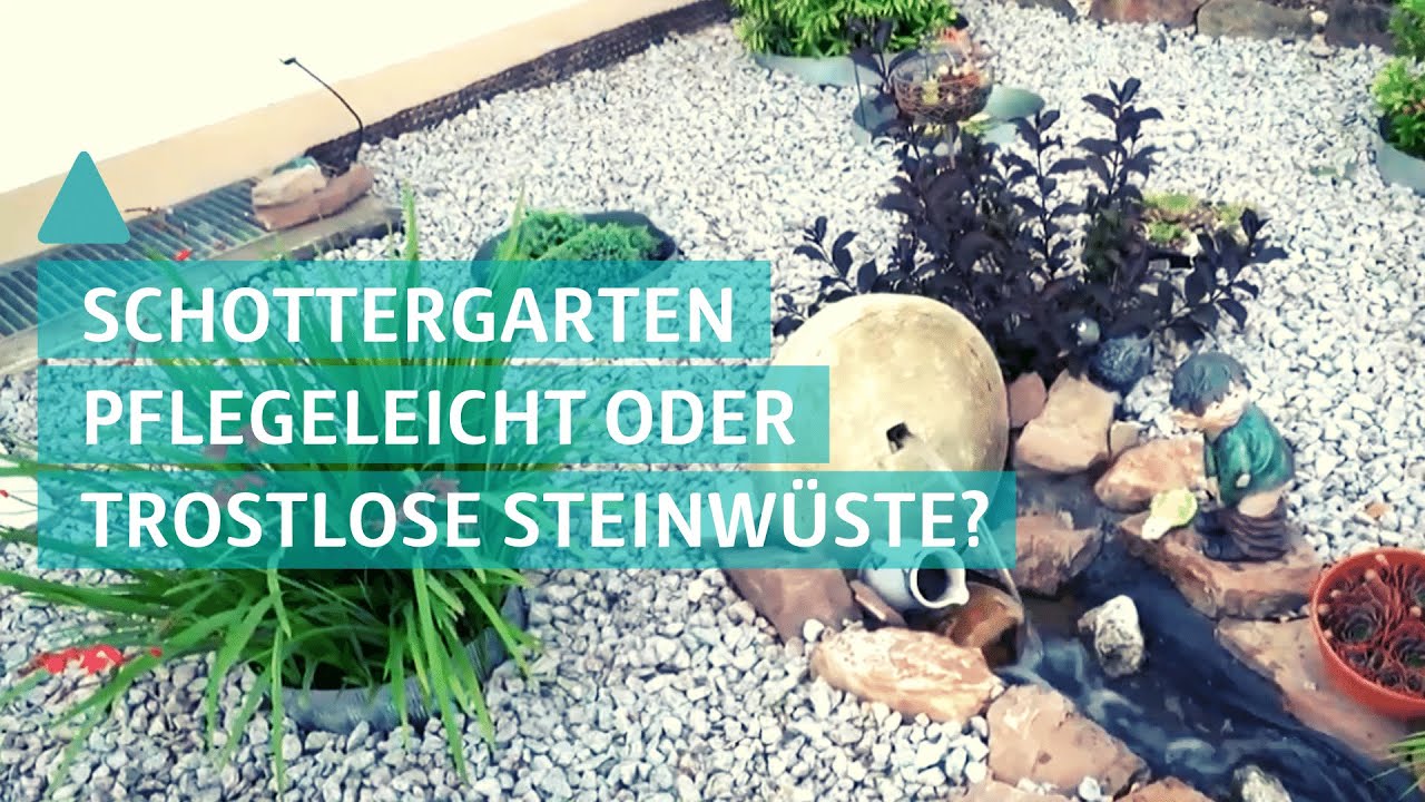 Garten: Schottergärten – pflegeleicht oder trostlose Steinwüste? | BAUEN & WOHNEN