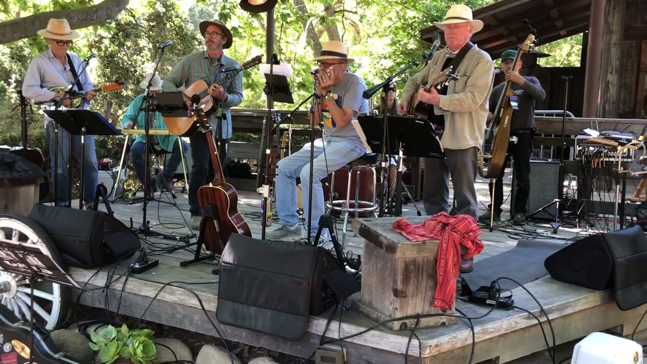 Wasted Days and Wasted Nights - The Americana Cats