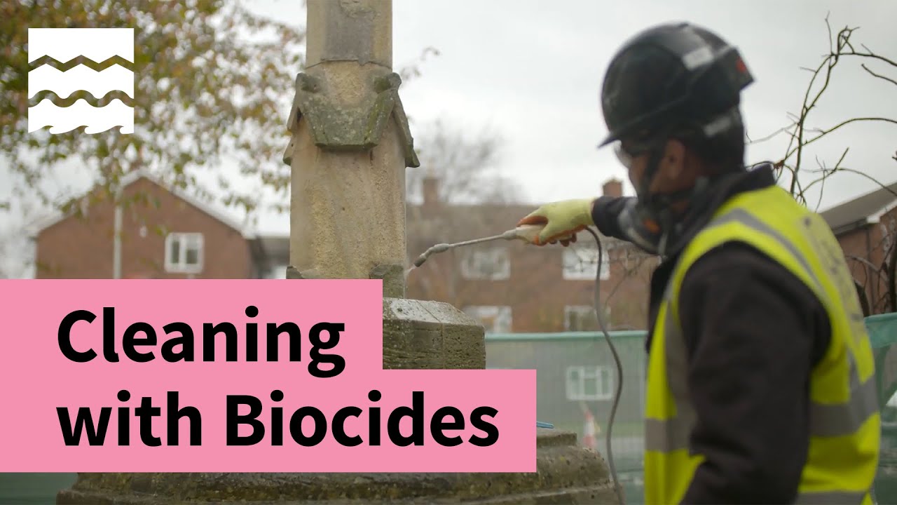 Cleaning a Stone Memorial with Biocides