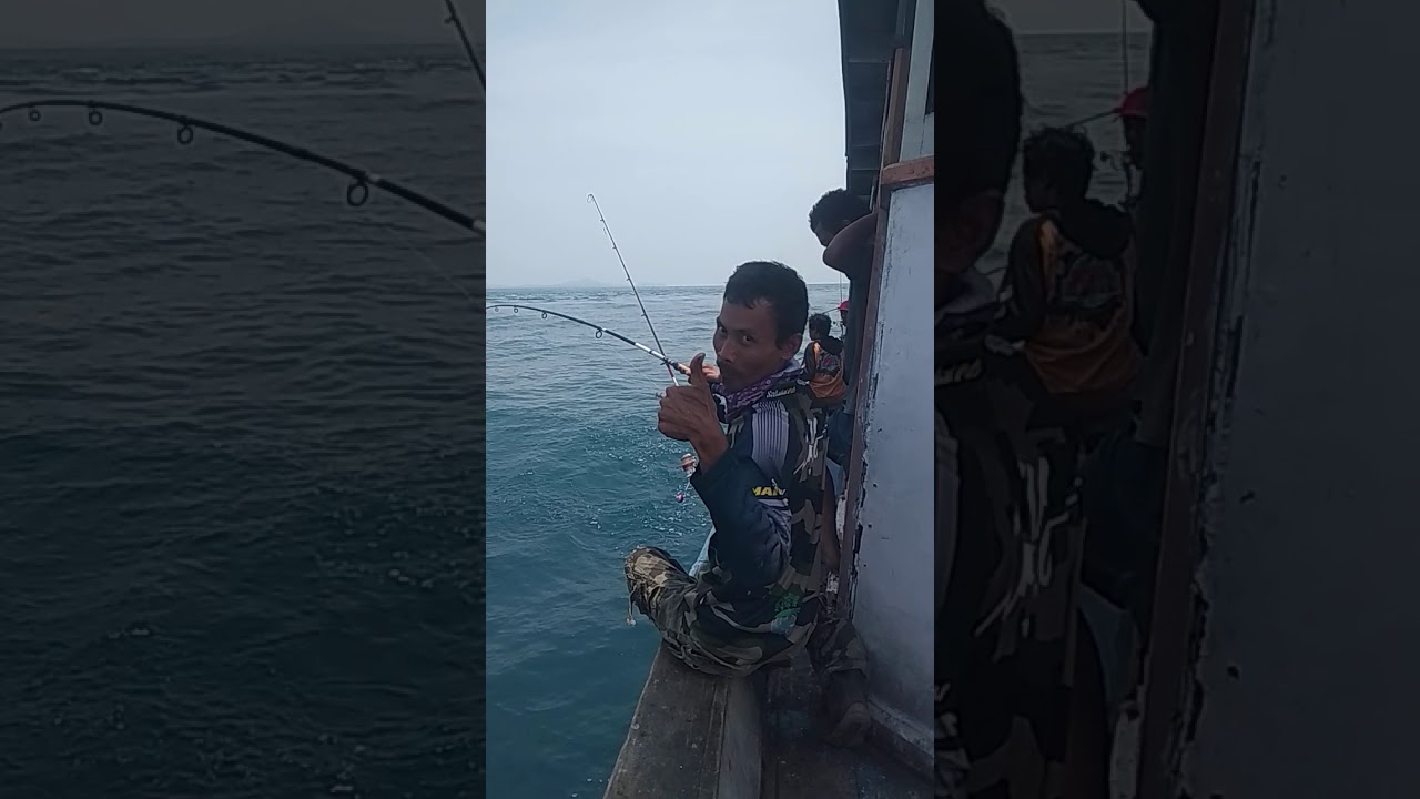 Ikan semadar babon mantap