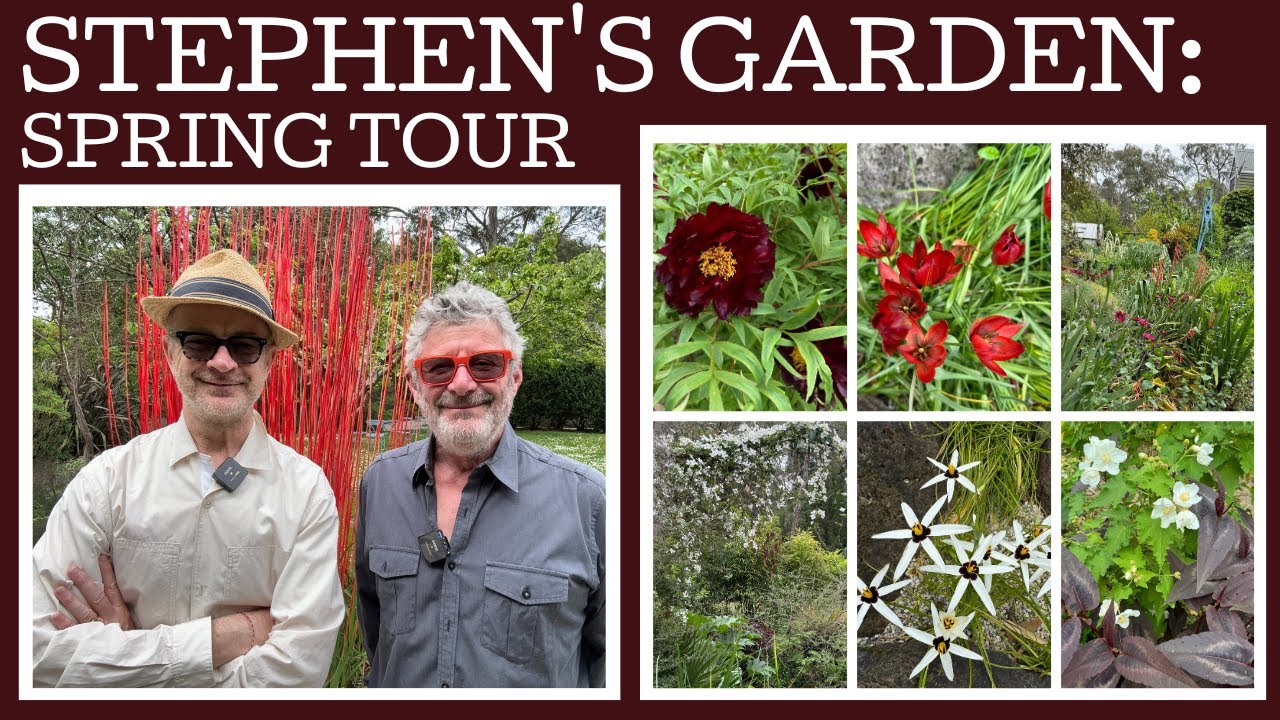 Stephen's Garden: Spring Tour 2024