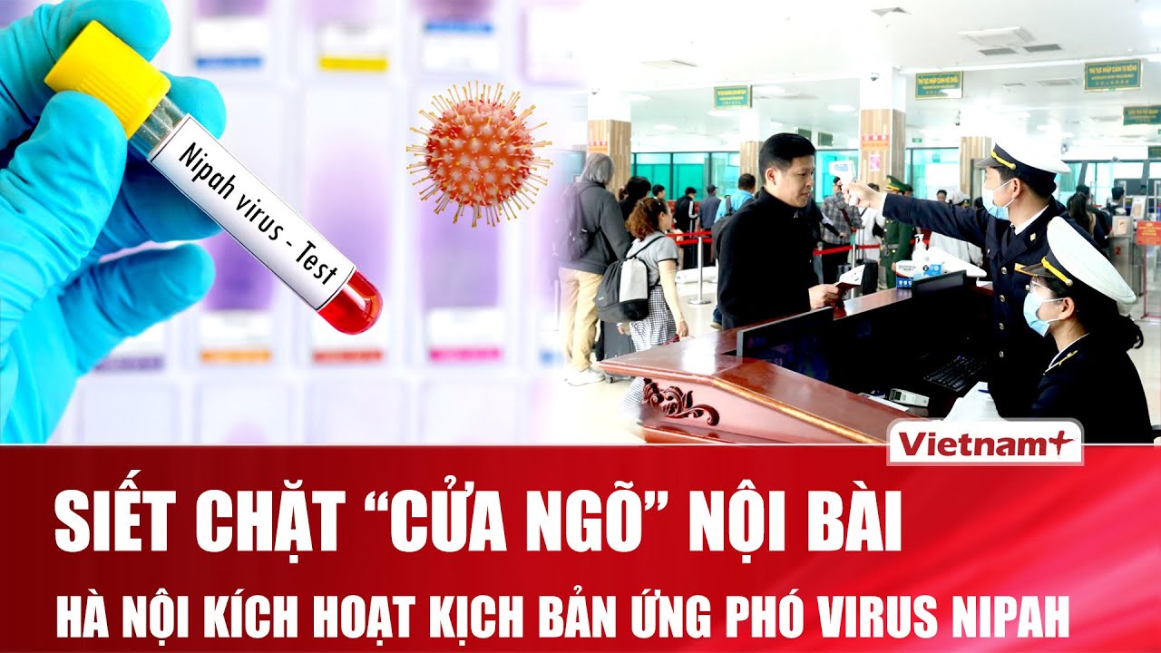 Siết chặt “cửa ngõ” Nội Bài, Hà Nội kích hoạt kịch bản ứng phó virus Nipah
