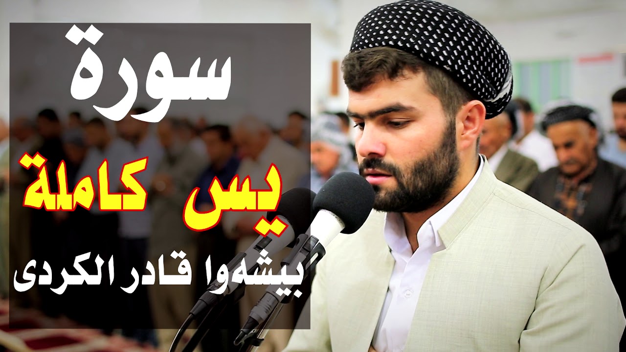 تلاوة مريحة و هادية جدا في سورة يس بصوت بيشةوا قادر الكردي