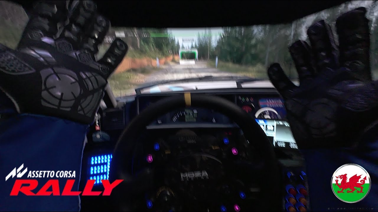 Assetto Corsa Rally - Hold My Zimmer Frame