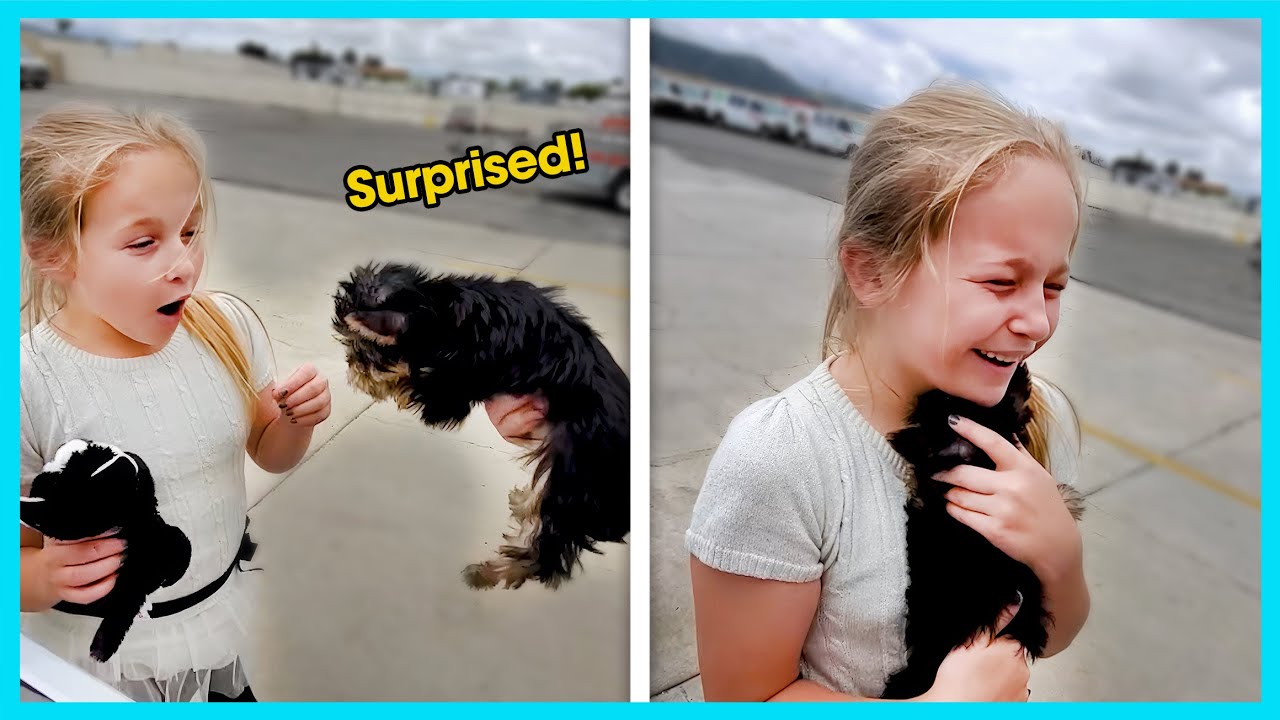 New Puppy Surprise 🐶 You Won't Believe Their Reaction!💖