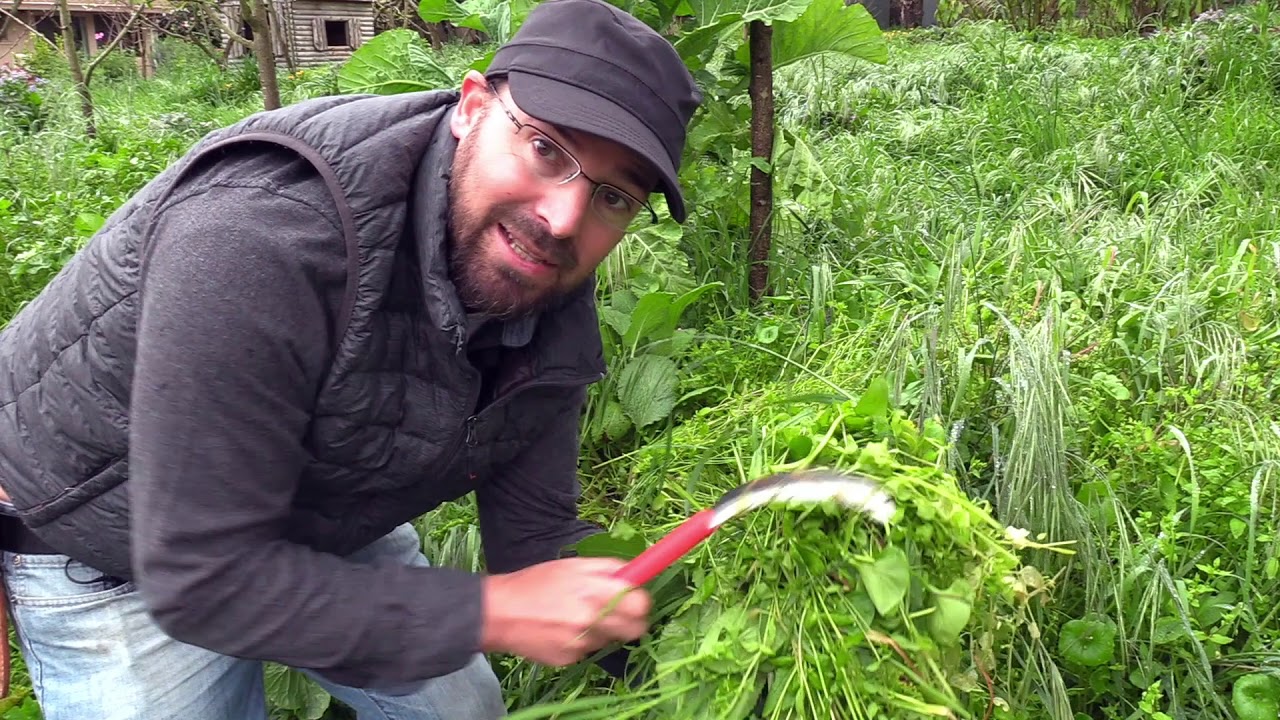 Nutrient Pumps in a Permaculture garden with Erik Ohlsen