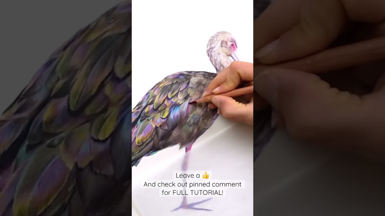 Drawing a REALISTIC BIRD with Colored Pencil
