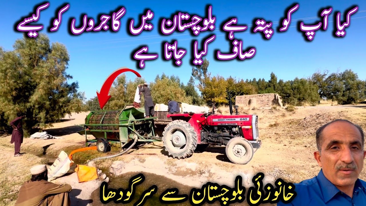 How to clean carrots||truck travelling in Balochistan||Chalta Phirta Tv