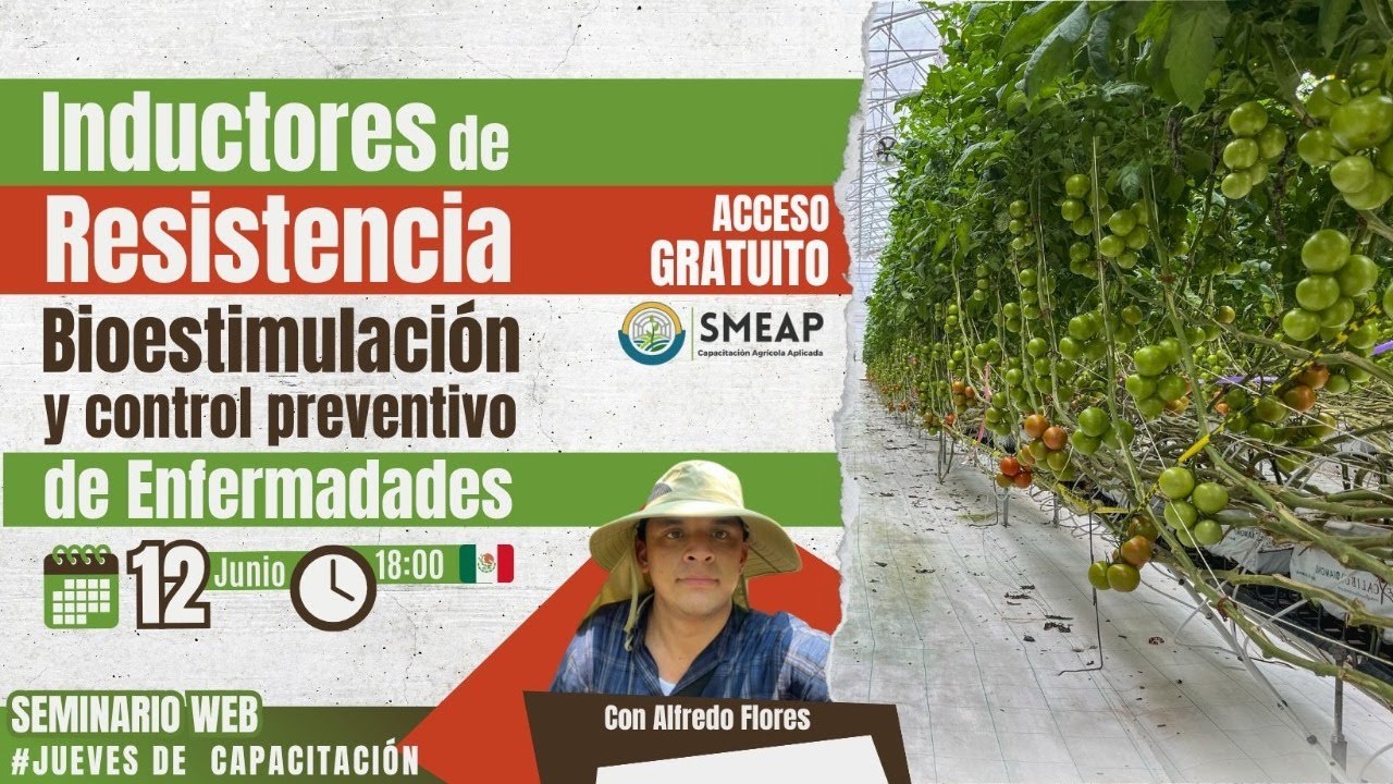 Inductores de Resistencia: Bioestimulación y Control Preventivo de Enfermedades