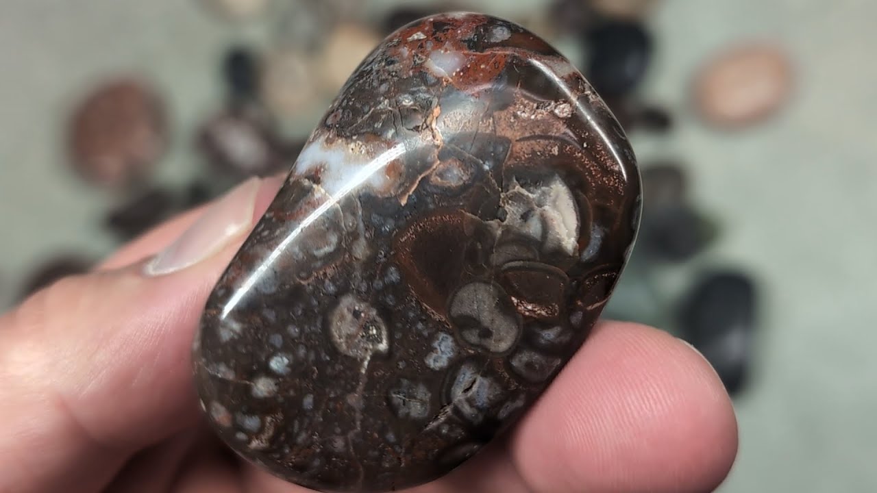 My Mom and Dad brought me rocks so....I polished them!