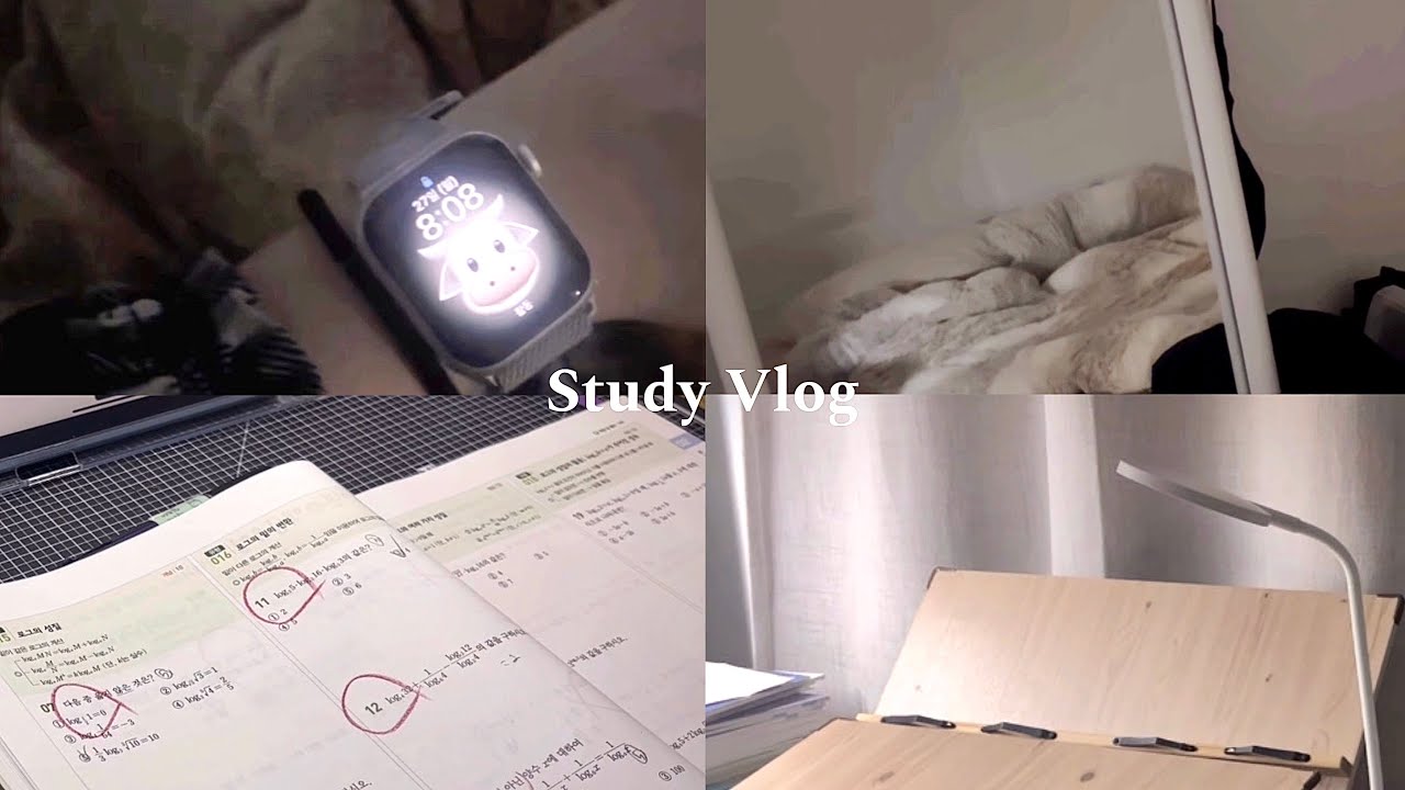 vlog | 설 연휴 순공 40h 브이로그 / 국제고생 집공부 브이로그 / 08
