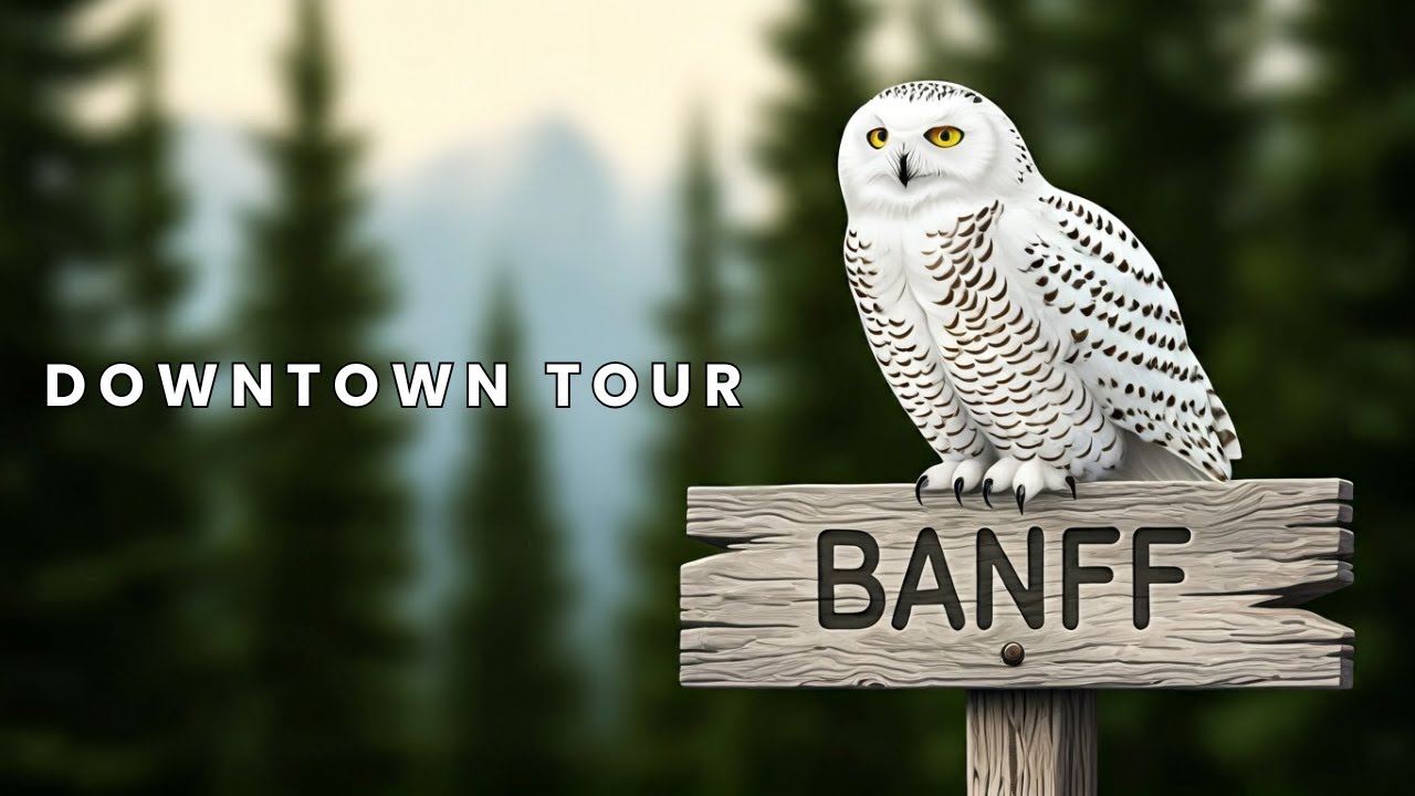 What Downtown Banff Will Look Like This Winter 2024 #canada #banffnationalpark #thingstodo #alberta