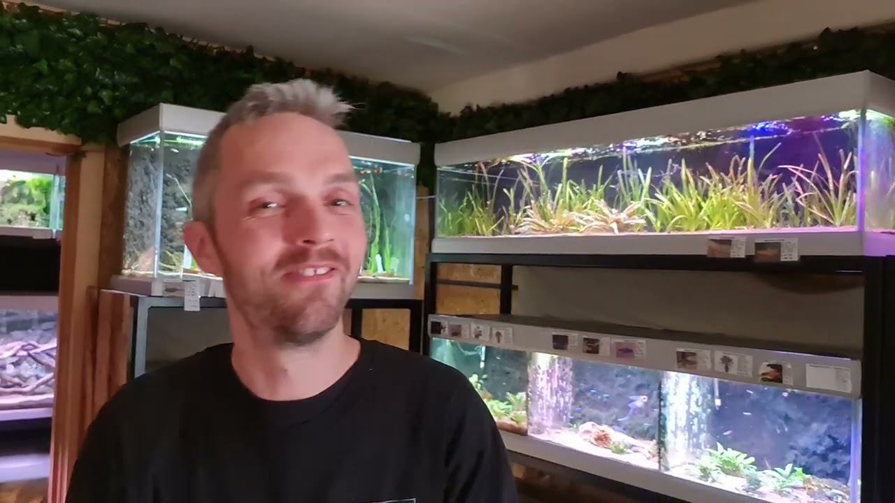 Fredagsfilm - Gødning af planter