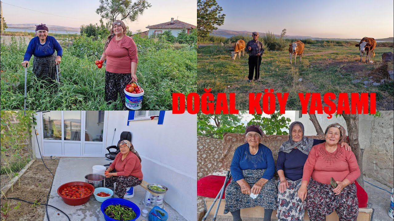 KÖYDE YAŞAM BÜYÜLERİMİZİ ZİYARET KIŞLIK MELEMENLERİMİZİ YAPIYORUZ GÜZEL SOHBETLER