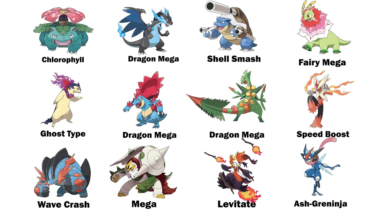 Every Major Starter Pokemon Buff Explained In 30 Minutes