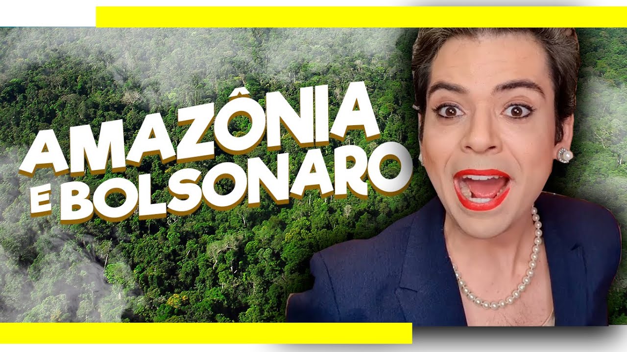 DILMA SOBRE AS QUEIMADAS E BOLSONARO