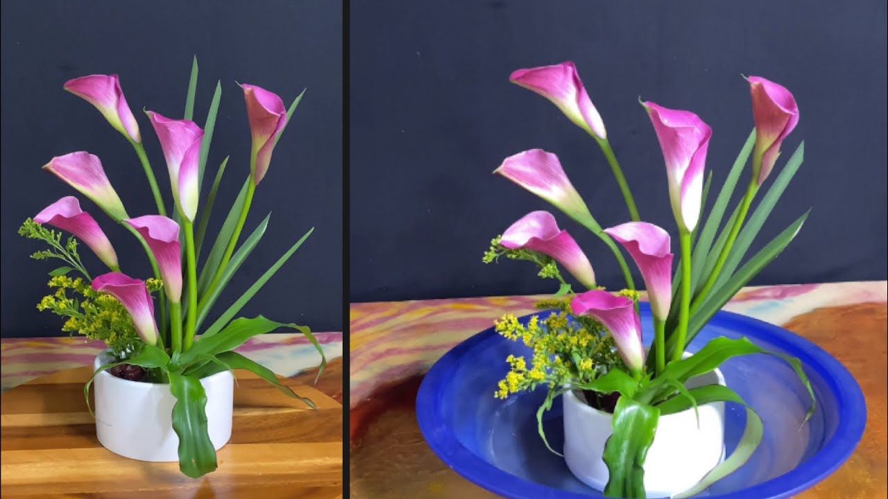 FLOWER ARRANGEMENT IDEAS 486.  Purple Calla Lilies and Callisia Fragrans.