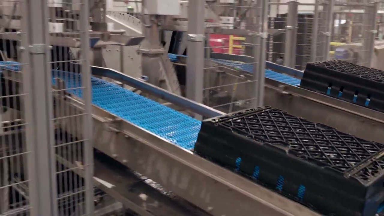 Crate washing and handling system