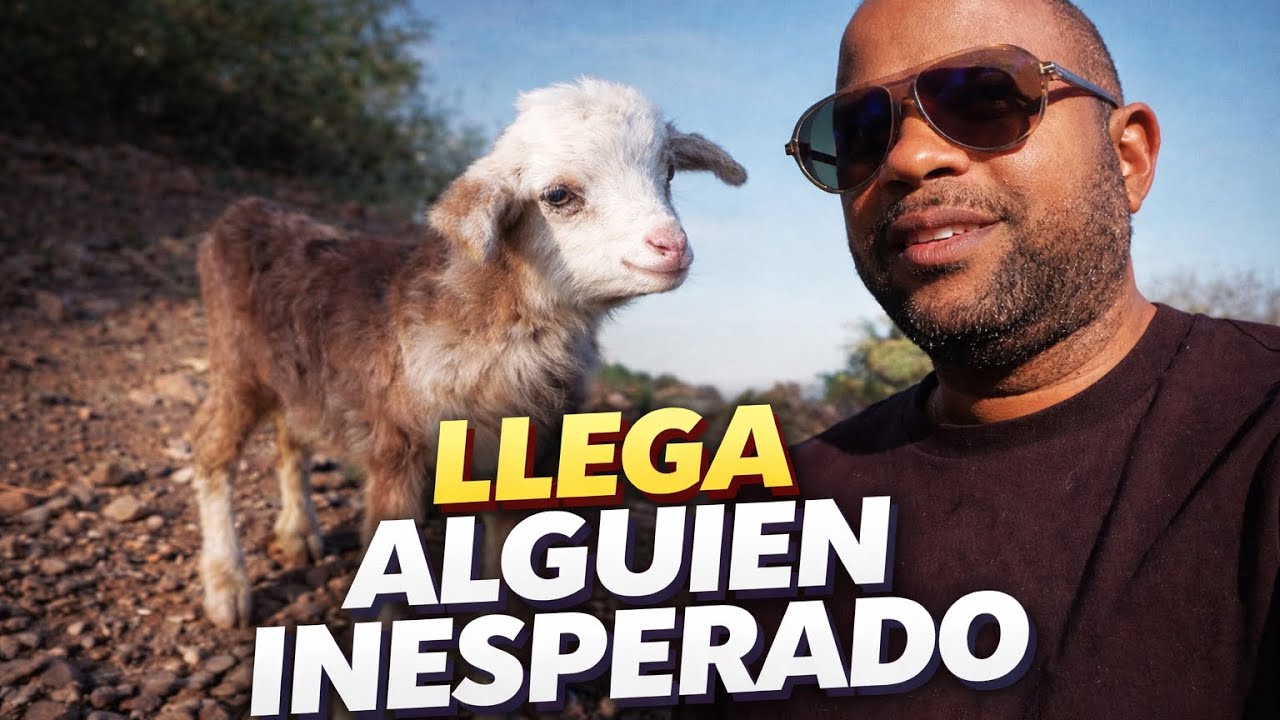 “Cuanto cuesta irse al campo en ESPAÑA. Vale la pena? Experiencia de un Cubano ”