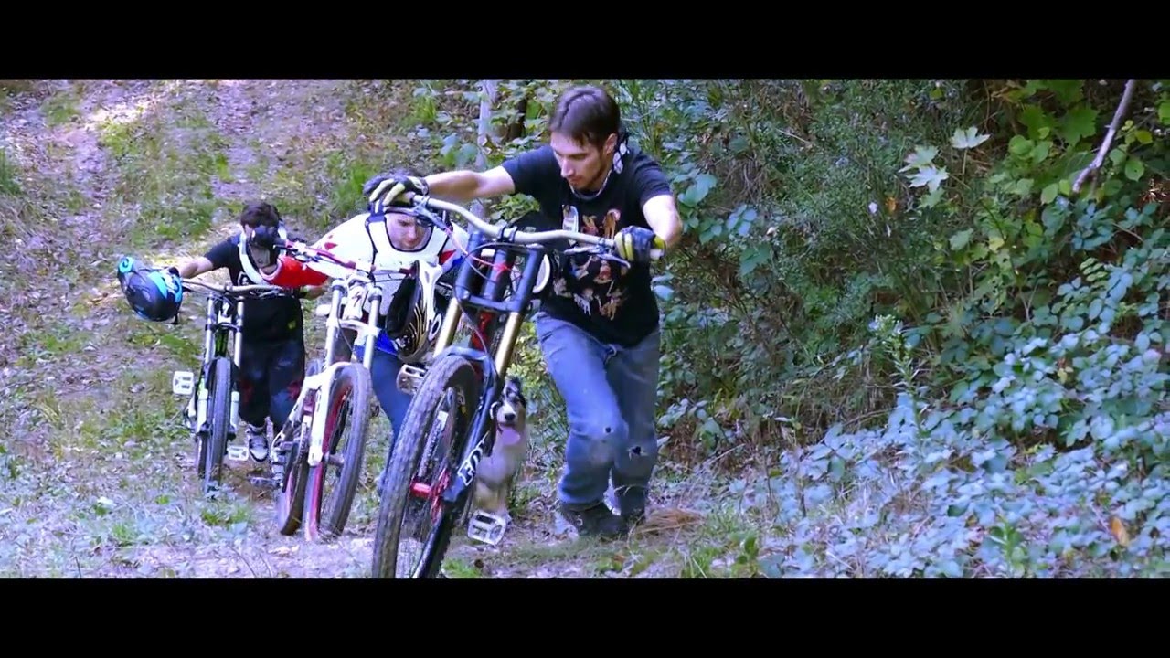 Woodspot - DH