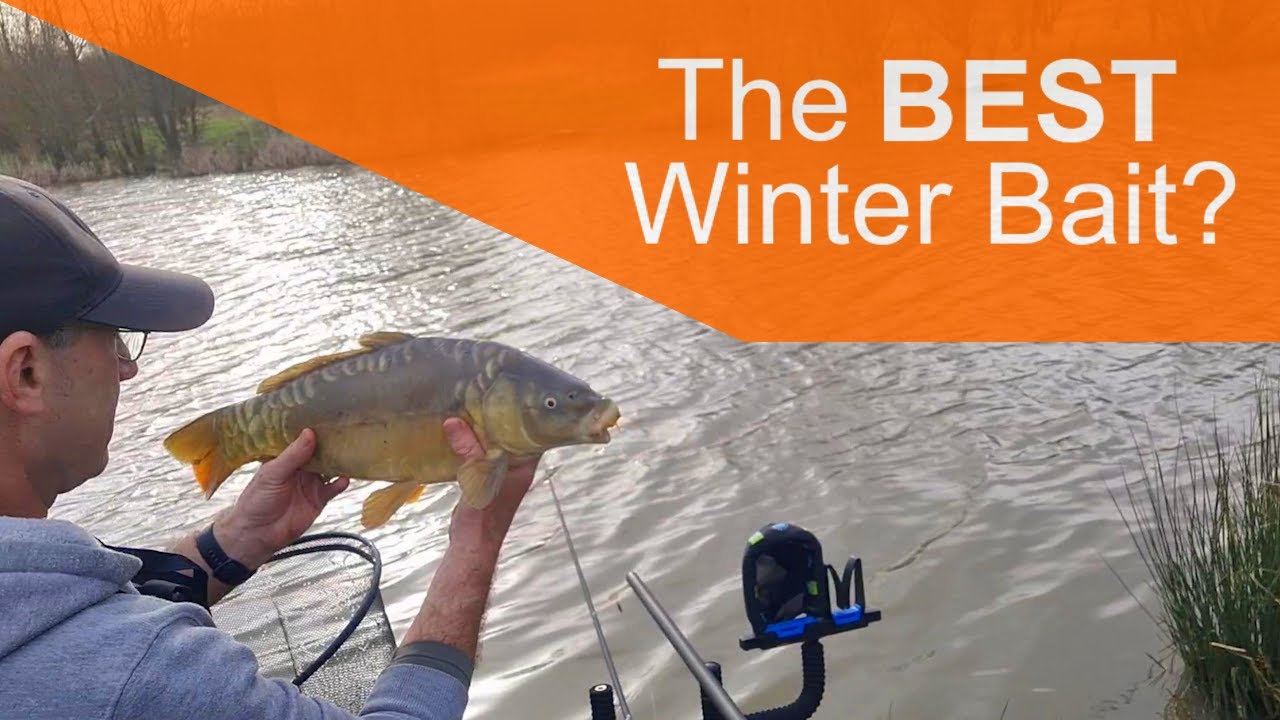 Catch Carp in the Winter Feeding 4mm Hard Pellets