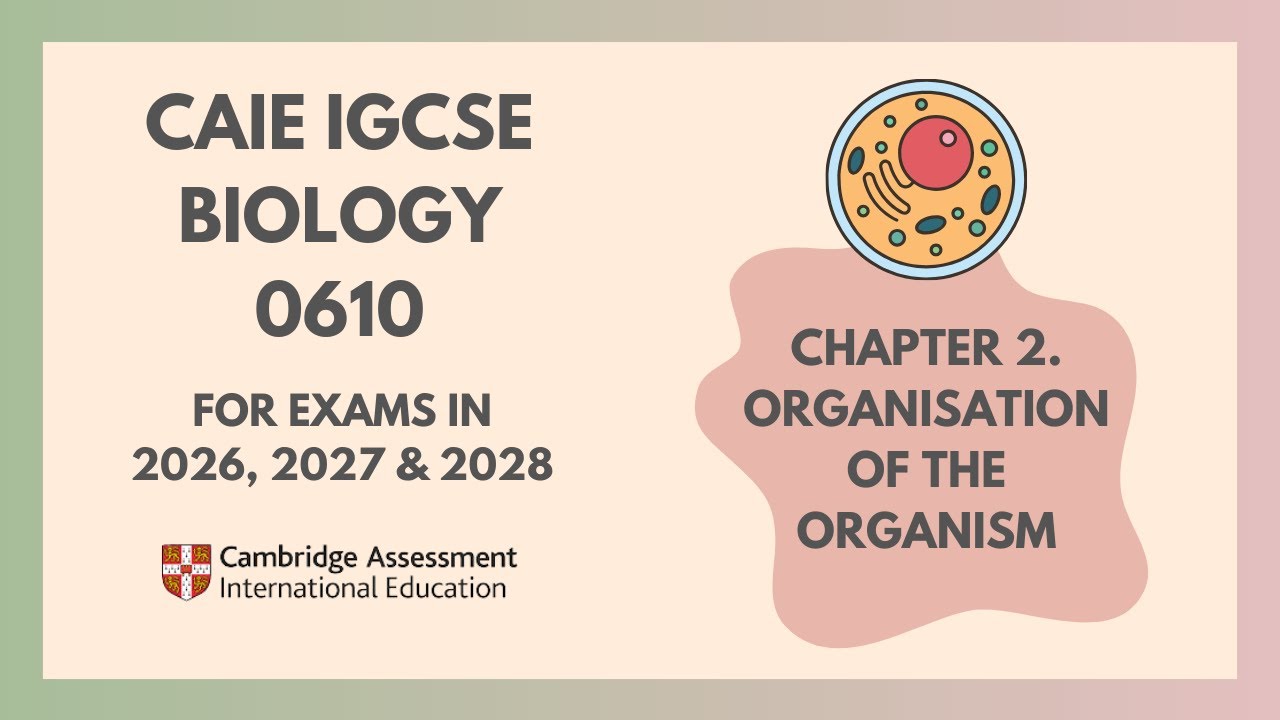 2. Organisation of the Organism (Cambridge IGCSE Biology 0610 for exams in 2026, 2027 & 2028)