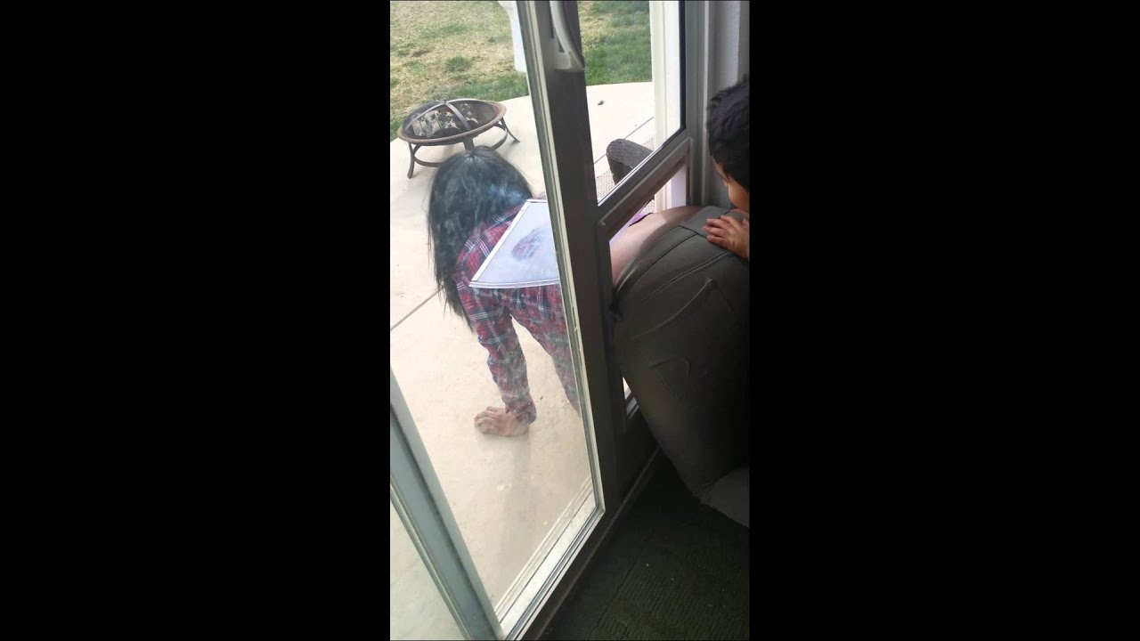 Too big for the doggie door