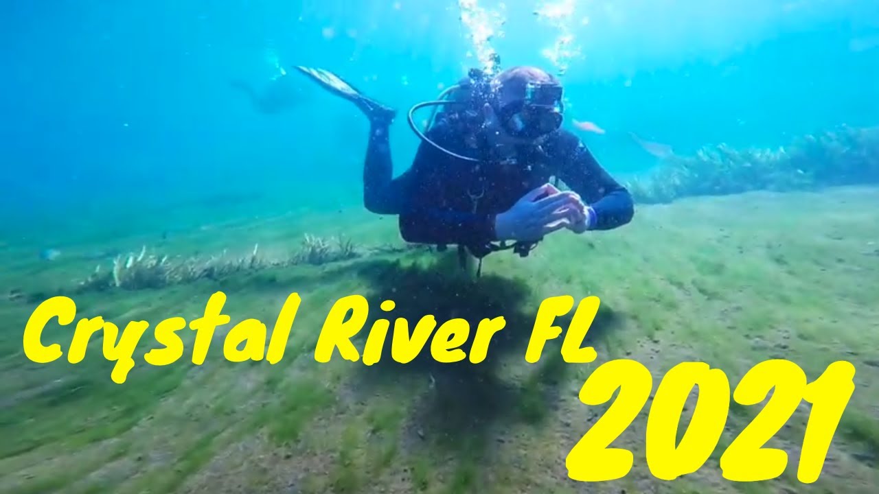 Scuba Dive Crystal River 2021