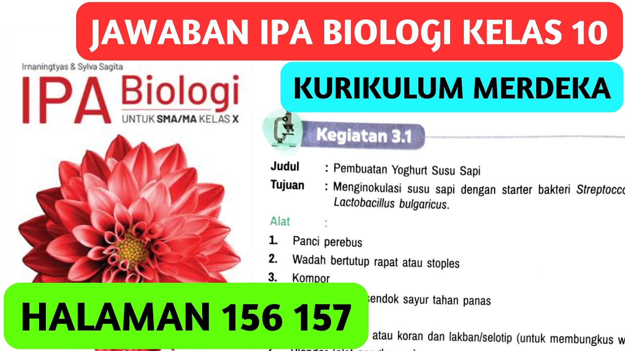 Kunci Jawaban IPA Biologi Kelas 10 Halaman 156 157 Kegiatan 3.1 BAB 3 Kurikulum Merdeka
