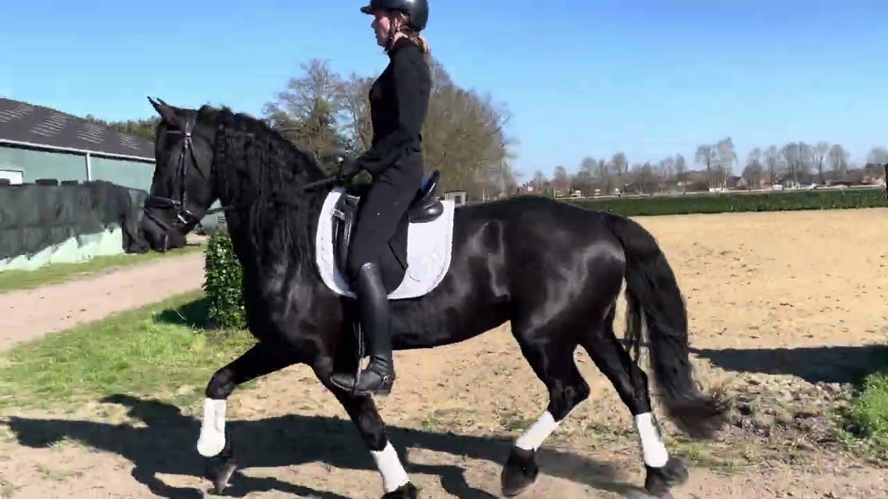 Coraine van bedem