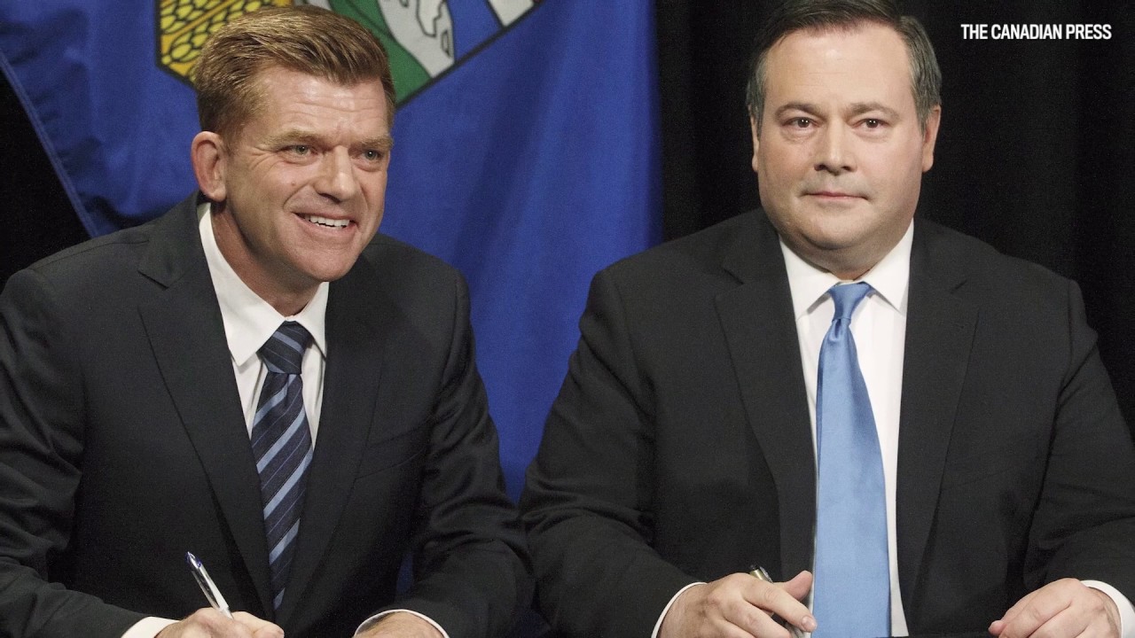 Braid: Conservative Merger in Alberta