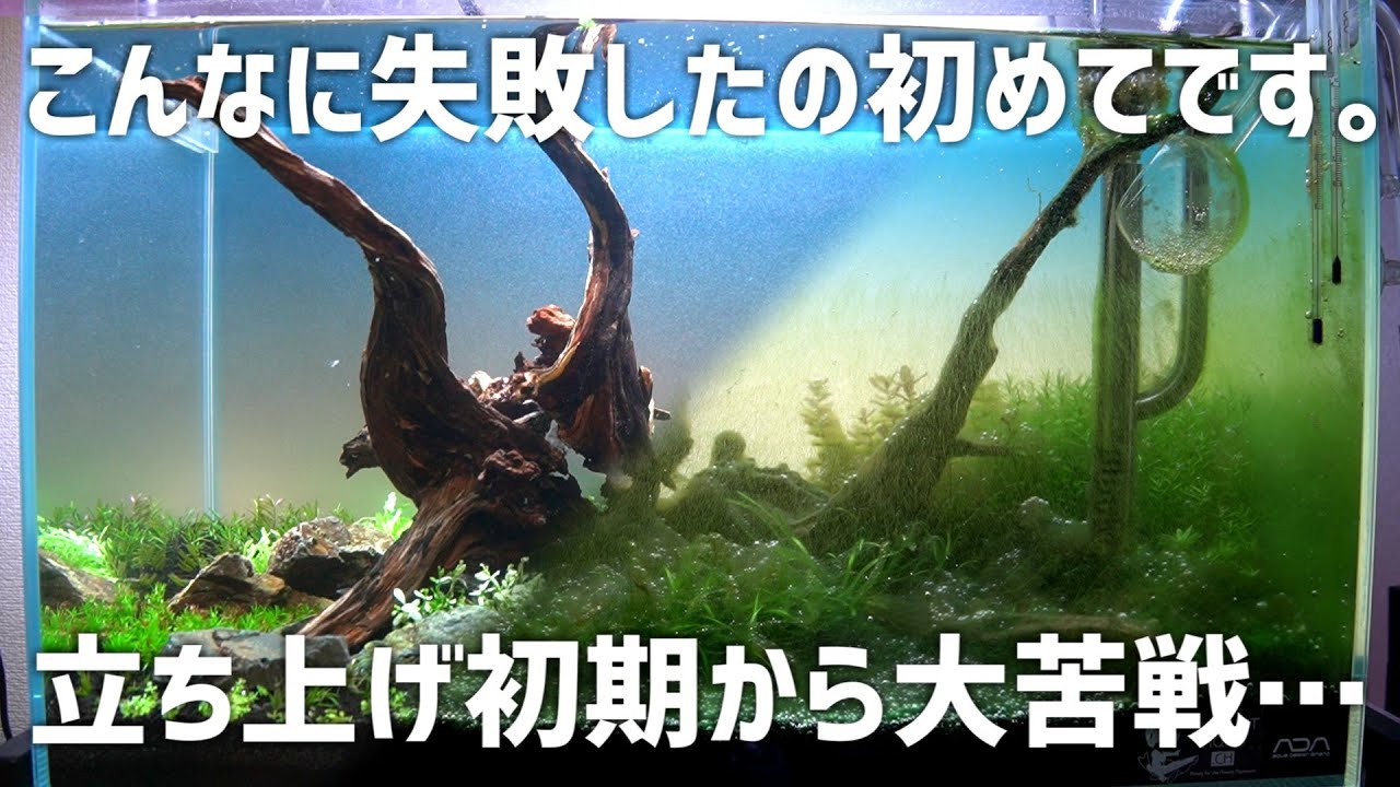 これは酷い…心が折れすぎて超便利アイテムも放棄した水槽#676【アクアリウム】