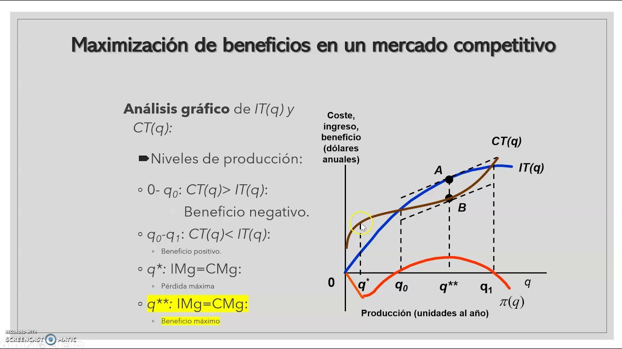 Tema 5.1. Maximizacion de Beneficios en Competencia Perfecta