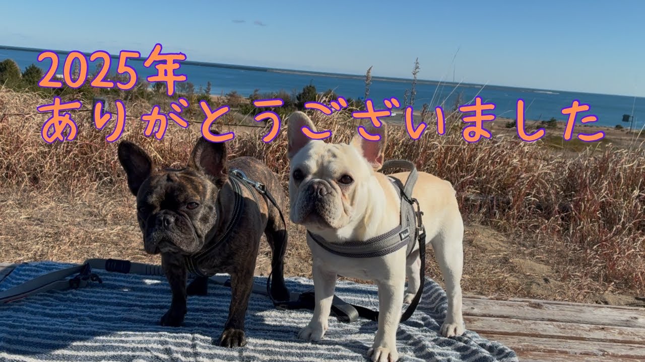 2025年ありがとうございました