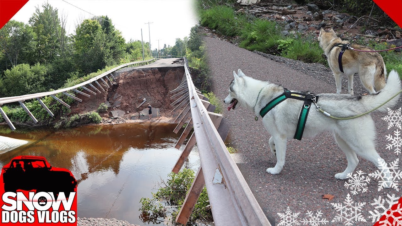 MASSIVE Flood Damage | Camping With Dogs