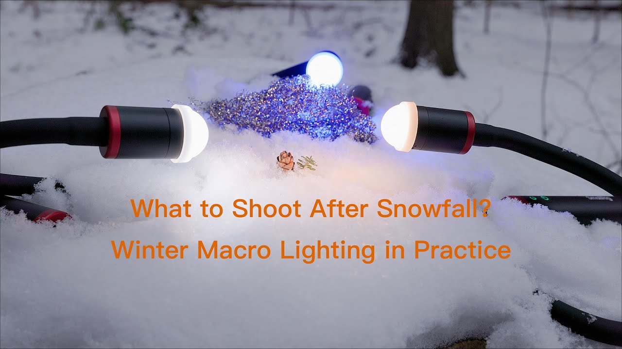SmallRig RM03 Macro Fill Light Review – Macro Photography | SmallRig RM03微距补光灯试用 - 微距摄影