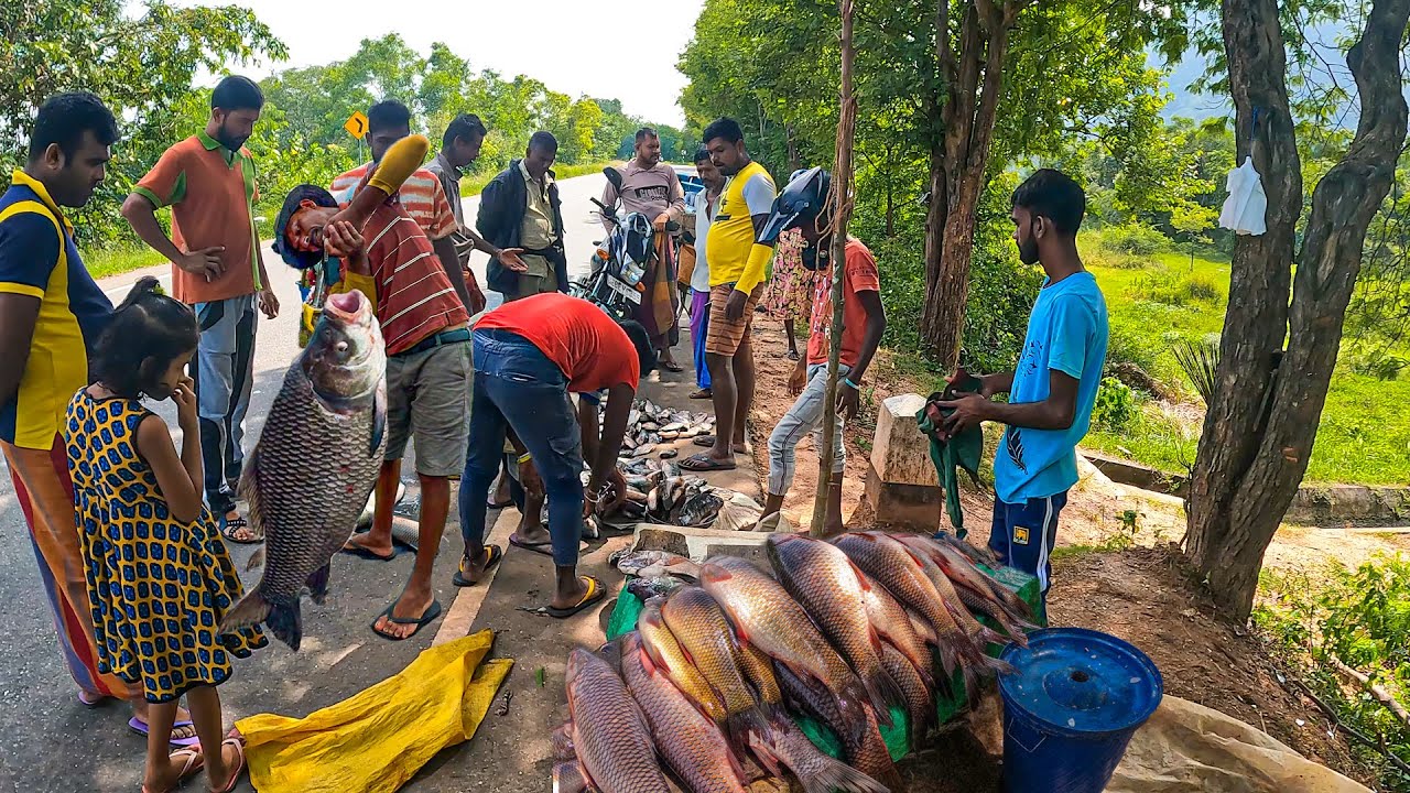 NeverSeen! Beautiful Street Fish Market in Sri Lanka | Excellent Fish Cutting Road Show