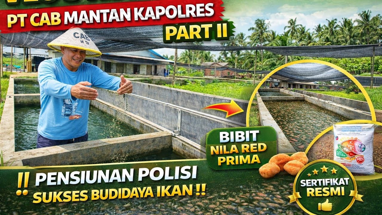 Vlog Kolam Nila Red Prima Mantan Kapolres Muaro Jambi #kolamikan