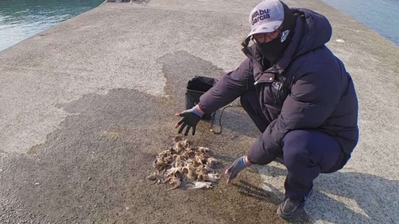 알쭈꾸미가 나오는 시기 워킹도 재미있게 나옵니다!