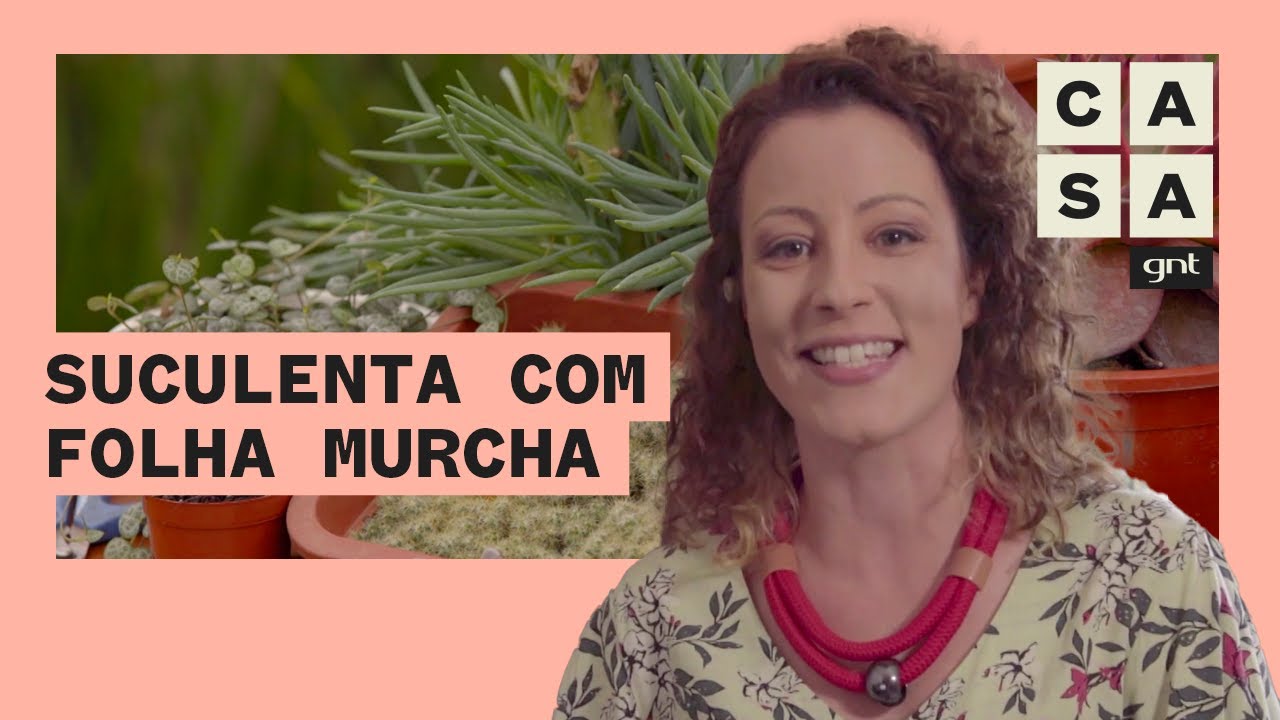 SUCULENTAS MURCHAS, GIRASSOL SECO, FLORES DE SOMBRA: Carol Costa responde às suas dúvidas | S.A.V.E.