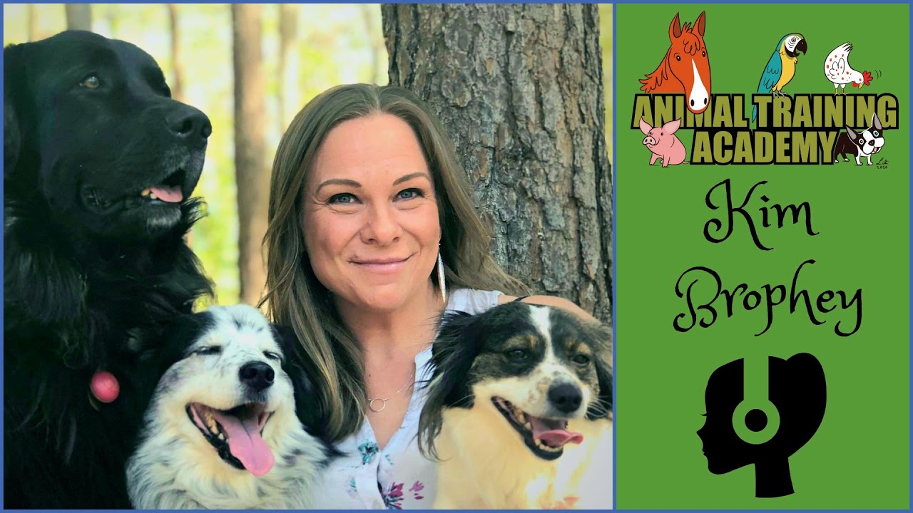 [Episode 161] Kim Brophey - 'Meet your dog'