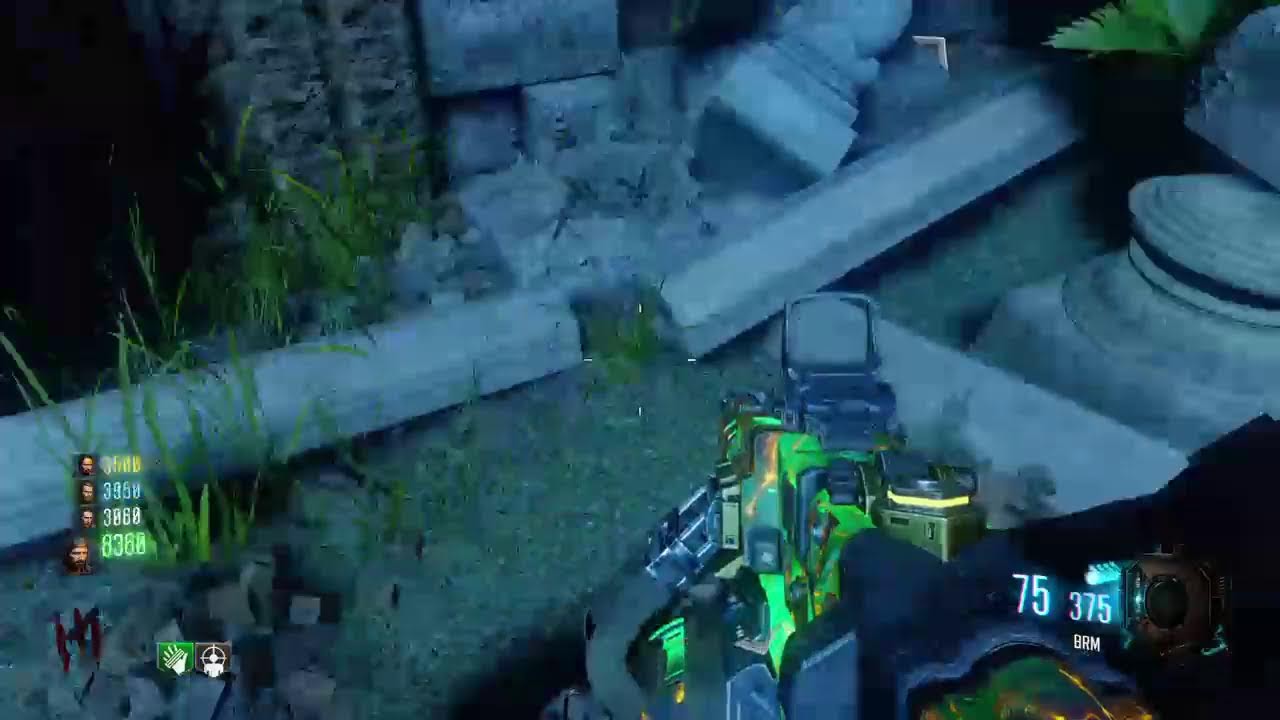 Bo3 Zombies Wit Randoms
