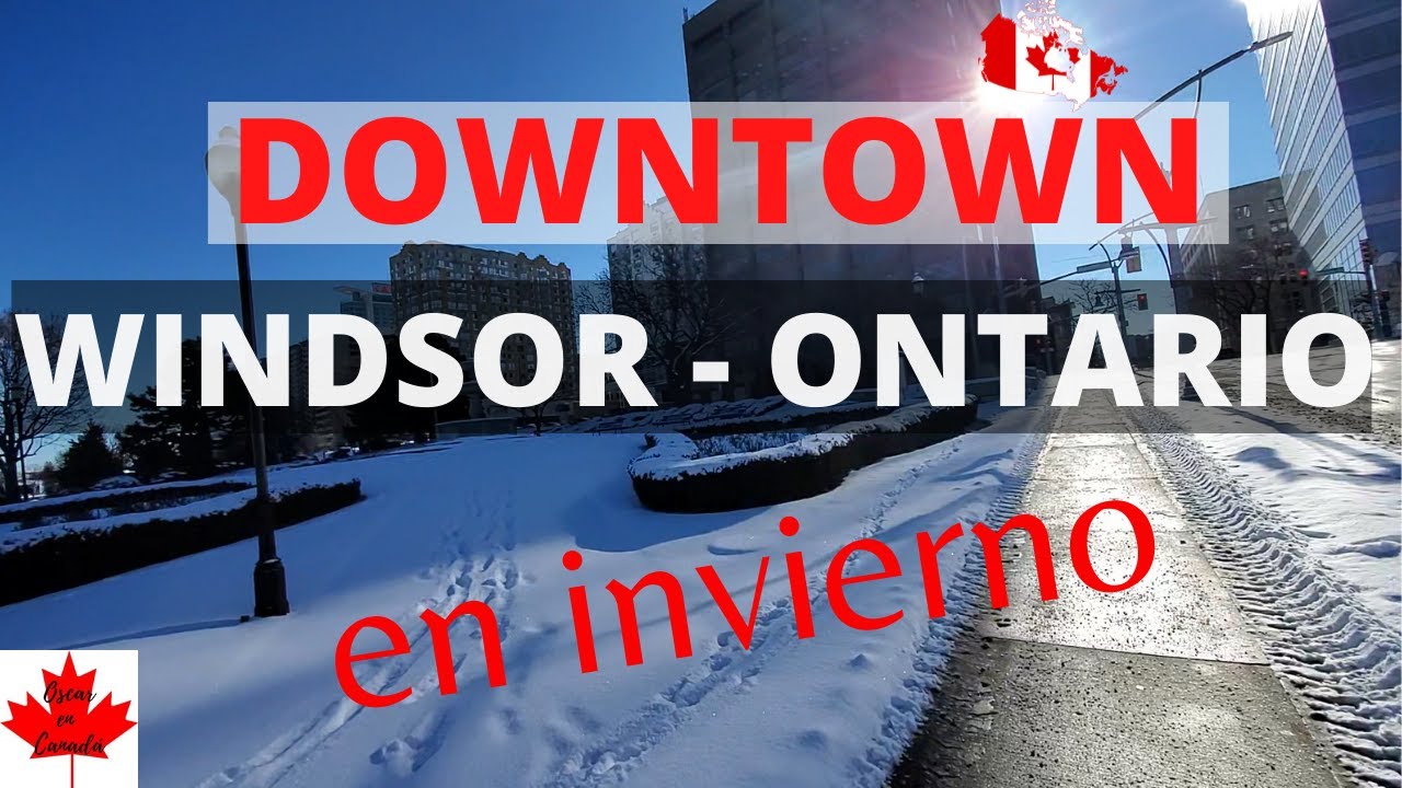 ✅CAMINANDO POR EL DOWNTOWN DE WINDSOR ONTARIO CANADA🍁