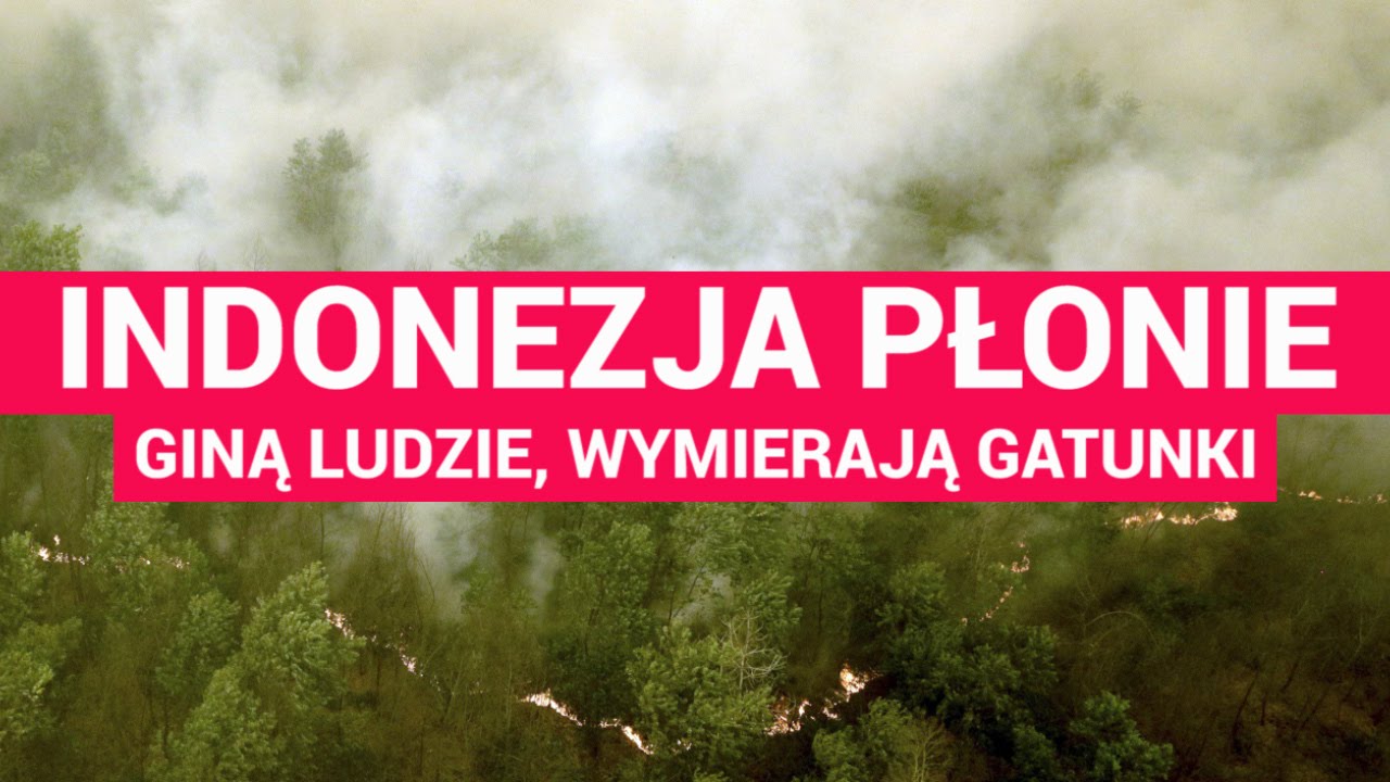Największa katastrofa ekologiczna XXI wieku: giną ludzie, wymierają gatunki