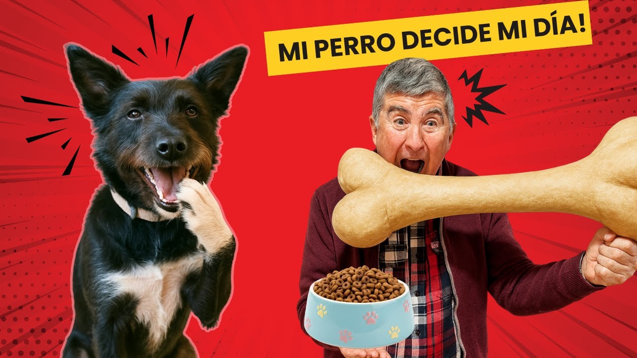 ¡Hoy MANDA MI PERRO! 😱SuperAbu hace TODO lo que dice Lana 😂