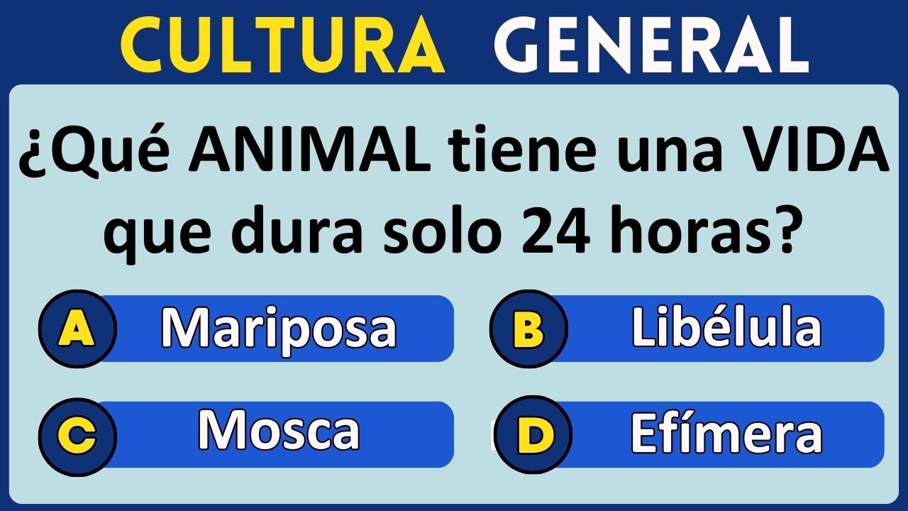 ¿Que Tan Bueno Eres En Cultura General?  Descúbrelo