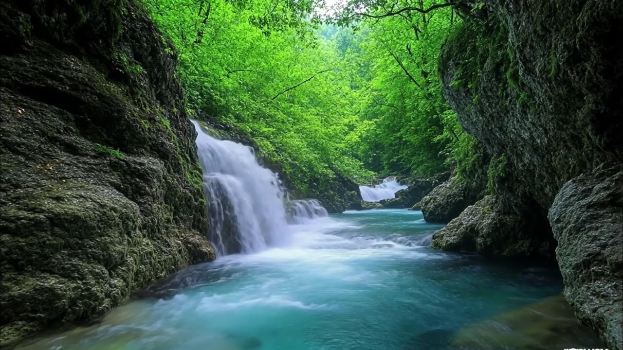 Gentle Piano Music & Water Sounds | Calm Your Mind and Meditate 🌺 Relaxing,Calm Music Relax 14