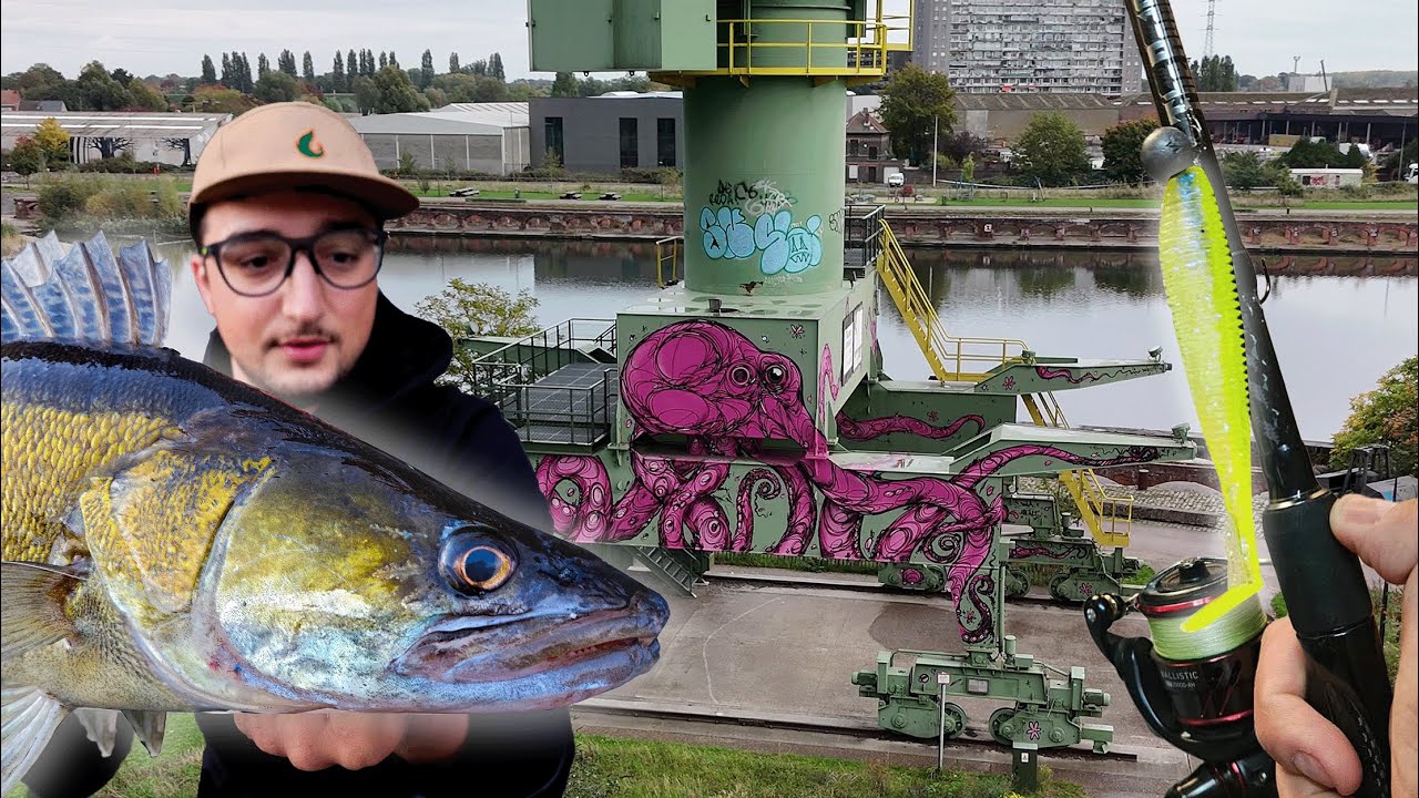 Ce CANAL est REMPLI de SANDRES😱​ Une technique ultra facile pour les enchainer !